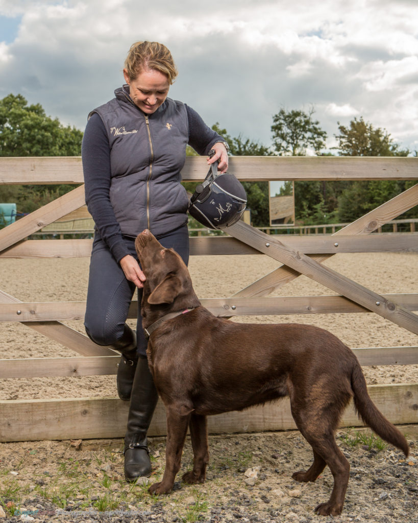 Niki Dow Willow Equine Rehab Dressage Portrait Horse Dog Malmesbury Wiltshire