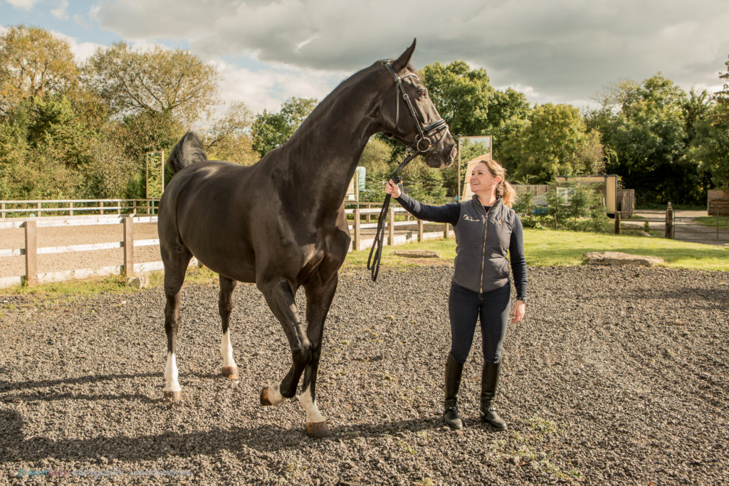 Niki Dow Willow Equine Rehab Dressage Portrait Horse Dog Malmesbury Wiltshire